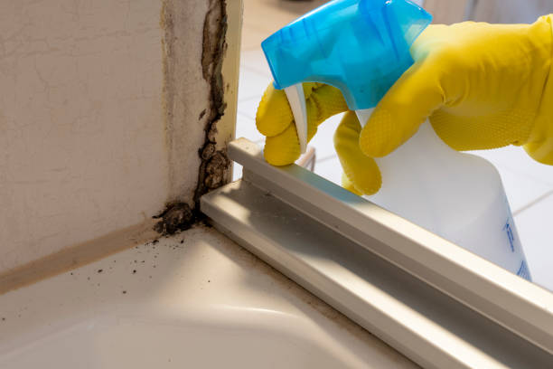 Monrovia, IN Mold Remediation Company